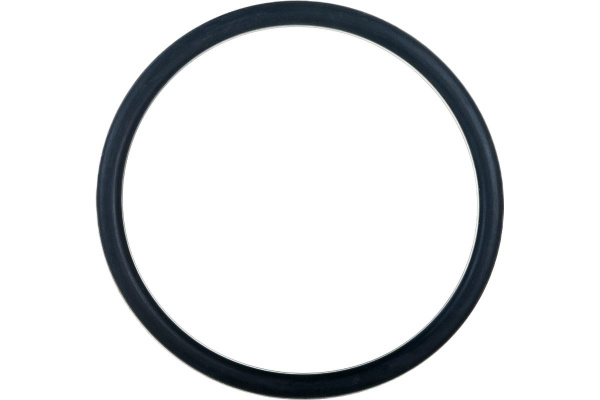 59530542